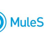 MuleSoft Developer Profile Picture