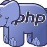 PHP Developer Profile Picture